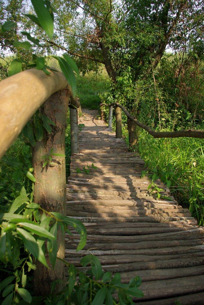 Садківці з panoramio.com - Садківці