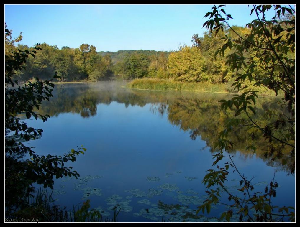 Суха Гомільша з panoramio.com - Сухая Гомольша