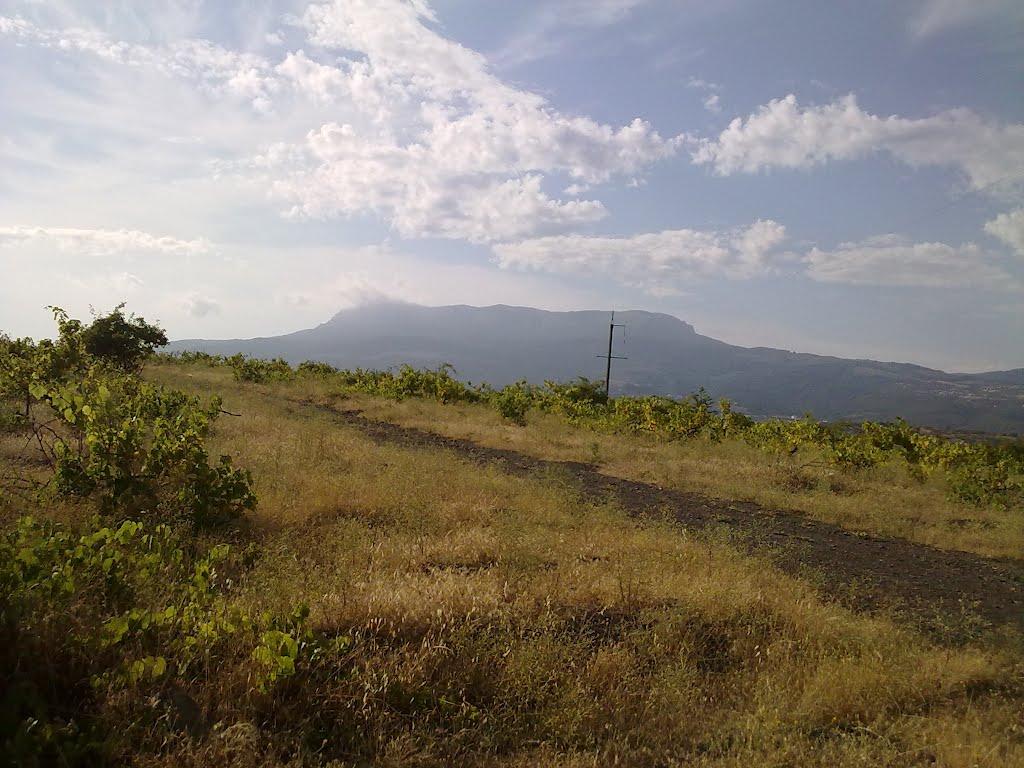 Виноградний з panoramio.com - Виноградний