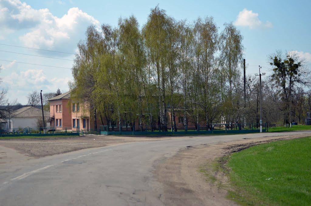 Дмитрушки з panoramio.com - Dmytrushky