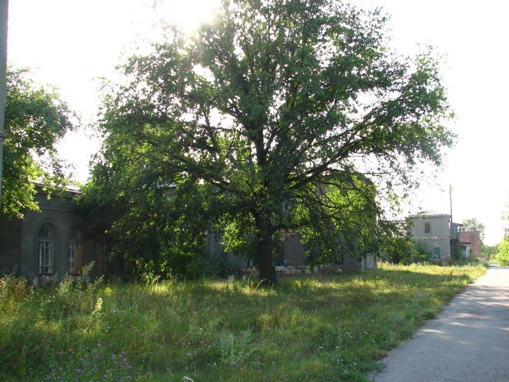 Люботин з panoramio.com (ч.2) - Люботин