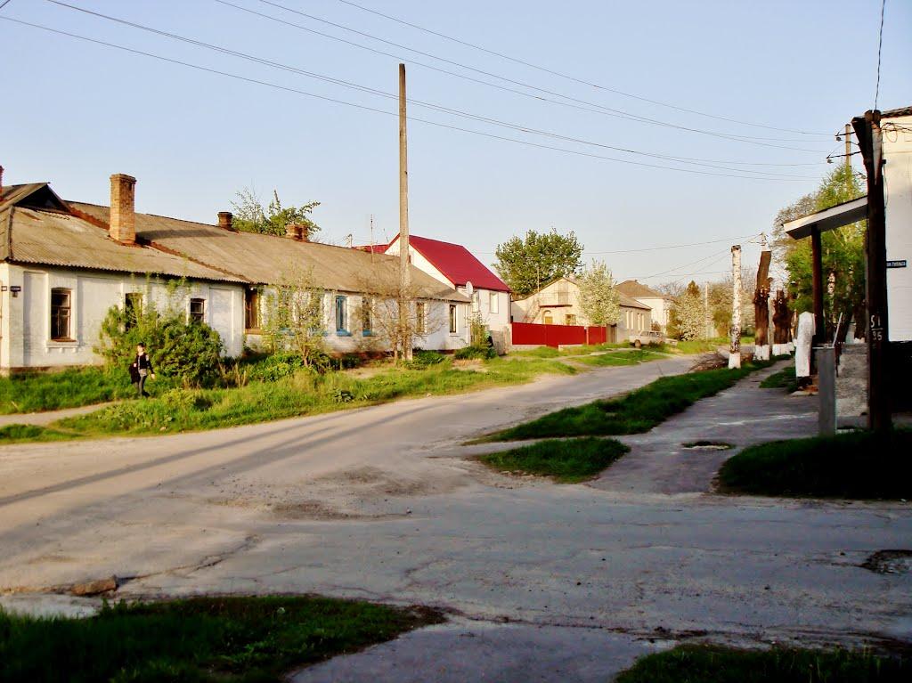 Гудзівка з panoramio.com - Gudzivka