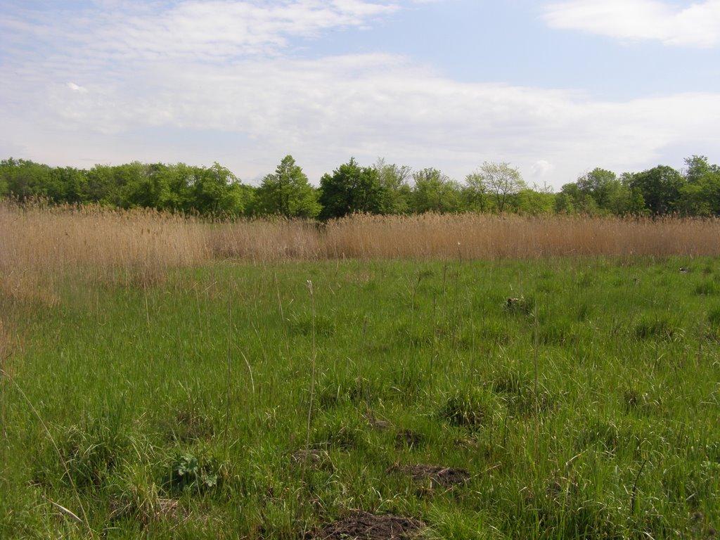 Новомосковськ з panoramio.com (ч.3) - Новомосковск
