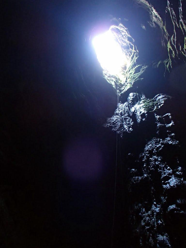 Пчолине з panoramio.com - Пчелиное