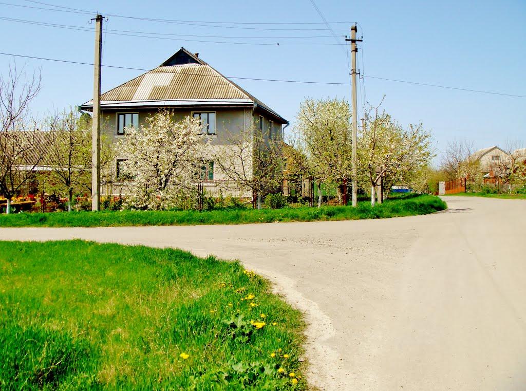 Гудзівка з panoramio.com - Gudzivka