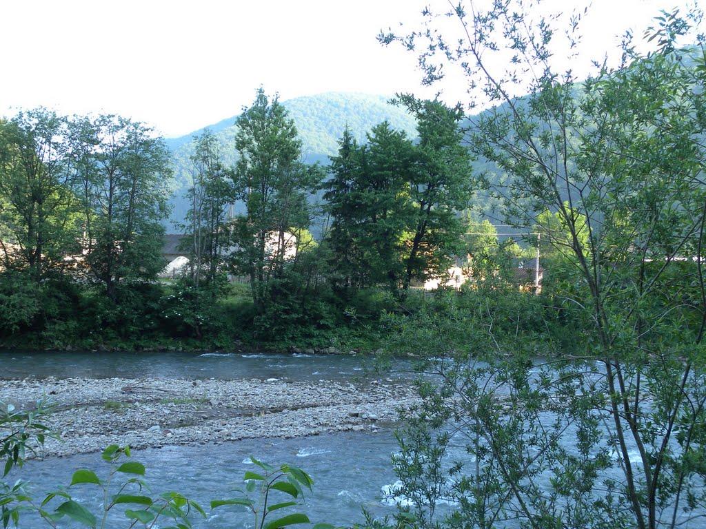 Усть-Чорна з panoramio.com - Усть-Чорна