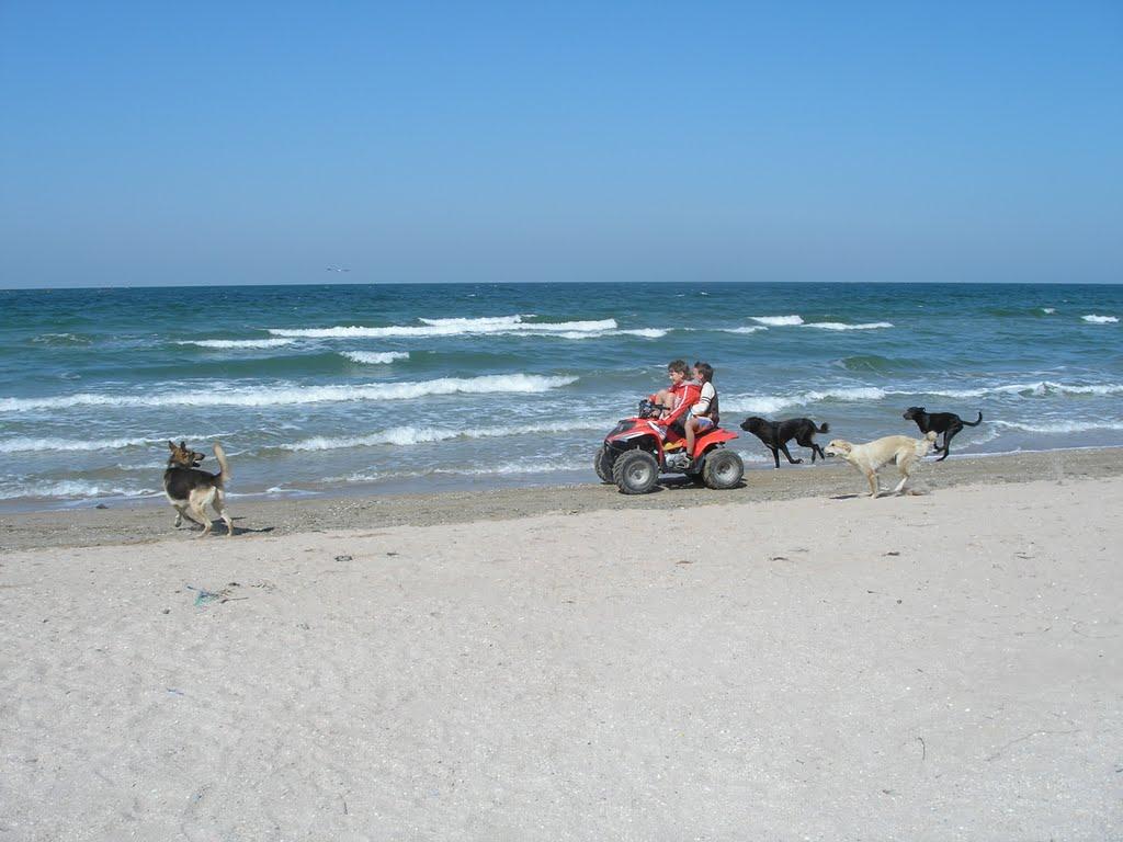 Щолкіне з panoramio.com - Щелкино