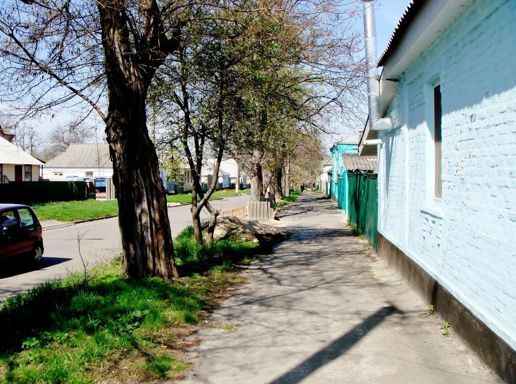 Гудзівка з panoramio.com - Gudzivka