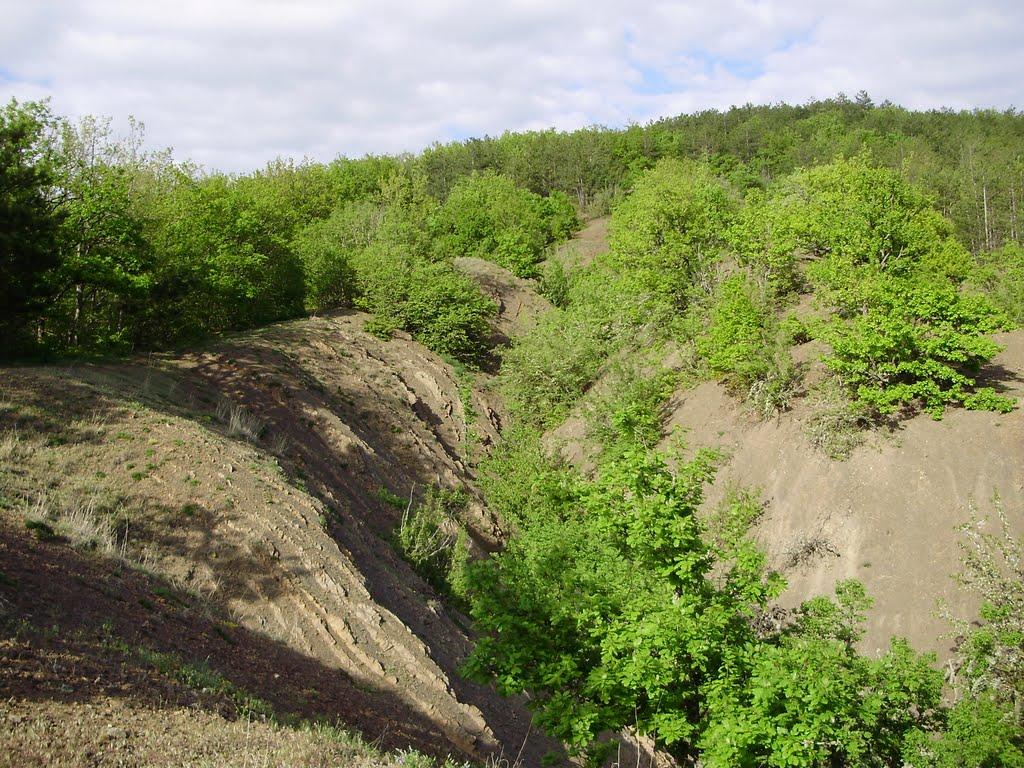 Богатир з panoramio.com - Богатир