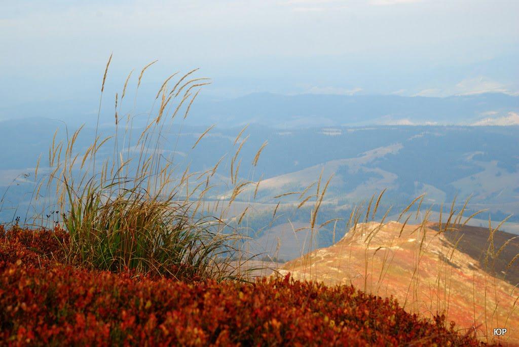 Гукливий з panoramio.com (ч.2) - Гукливий