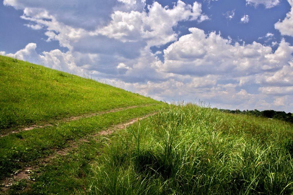 Савинці з panoramio.com - Савинці