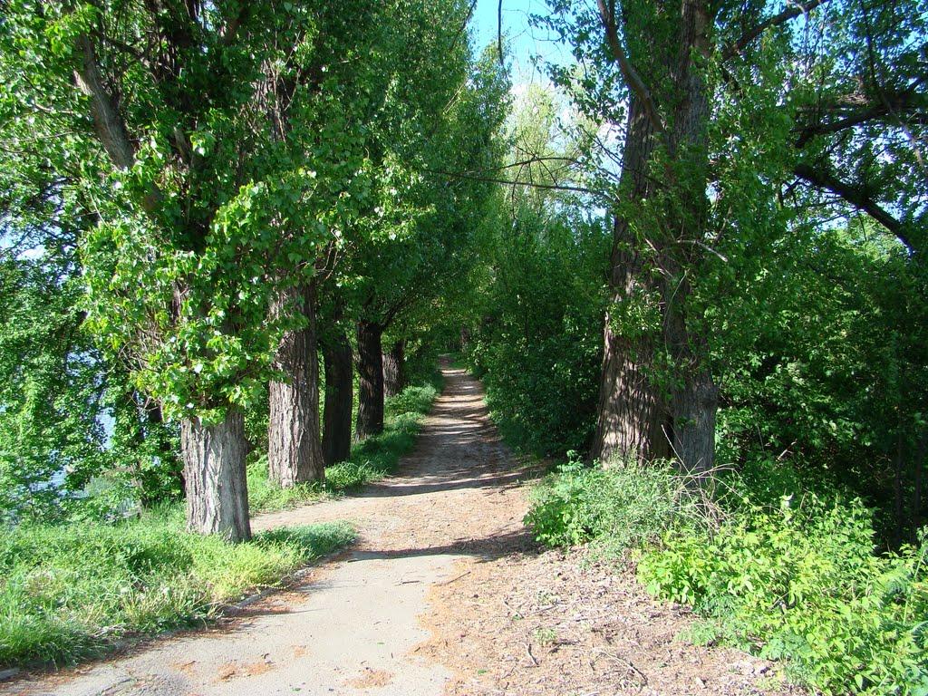 Косарі з panoramio.com (ч.2) - Косари