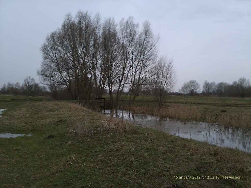 Розвинівка з panoramio.com - Розвинівка