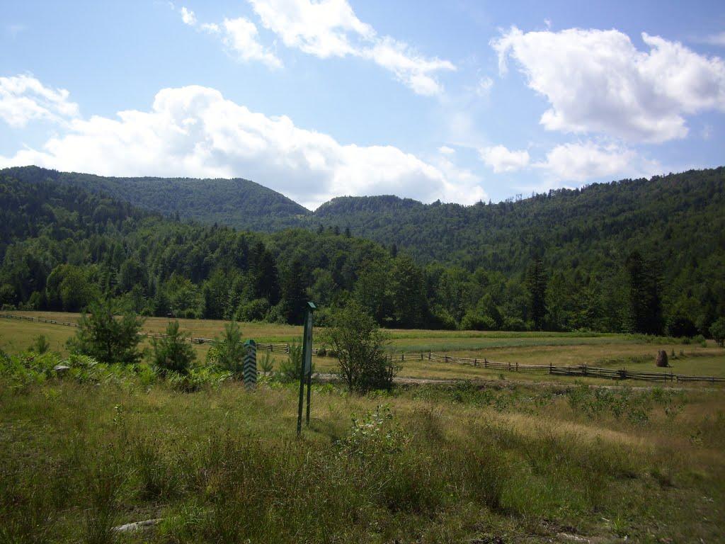 Лужки з panoramio.com - Лужки