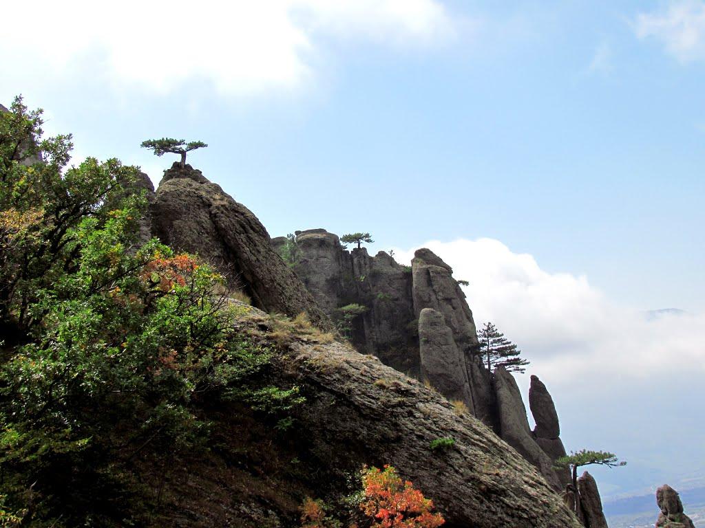 Лучисте з panoramio.com (ч.2) - Luchyste