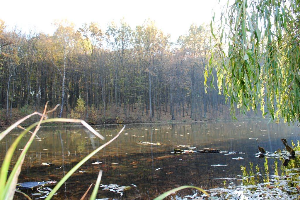 Стара Гута з panoramio.com - Старая Гута