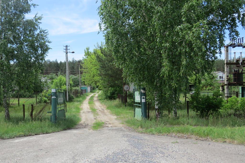 Софіївка з panoramio.com - Софиевка