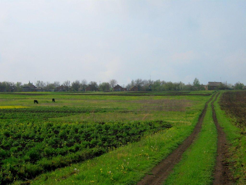 Оріхів з panoramio.com - Оріхів