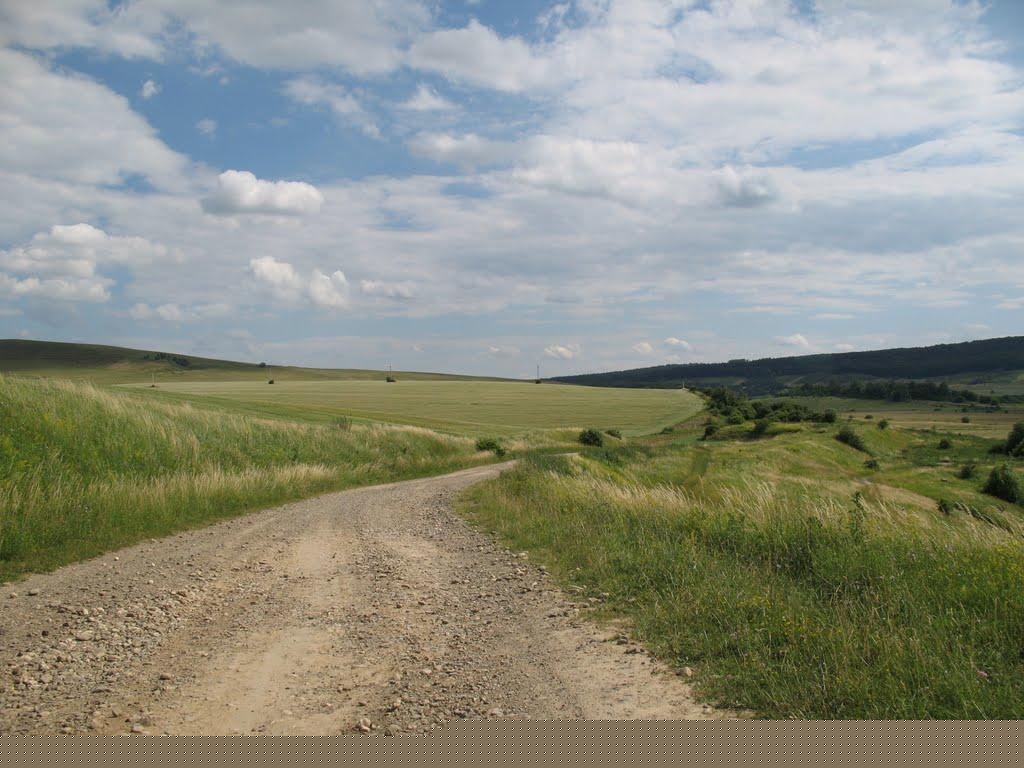 Паляниця з panoramio.com (ч.4) - Паляница