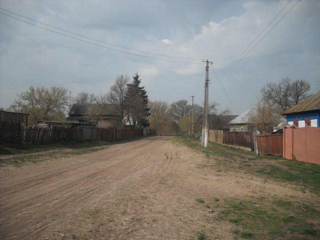 Любитове з panoramio.com - Любитово