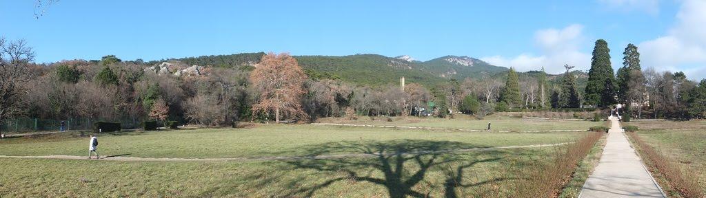 Масандра з panoramio.com - Masandra