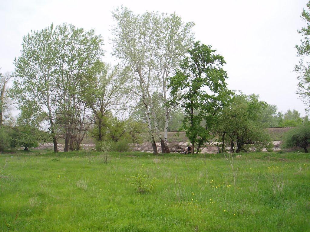 Станично-Луганське з panoramio.com (ч.2) - Станично-Луганское