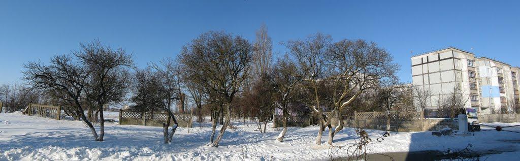 Шкільне з panoramio.com - Школьное