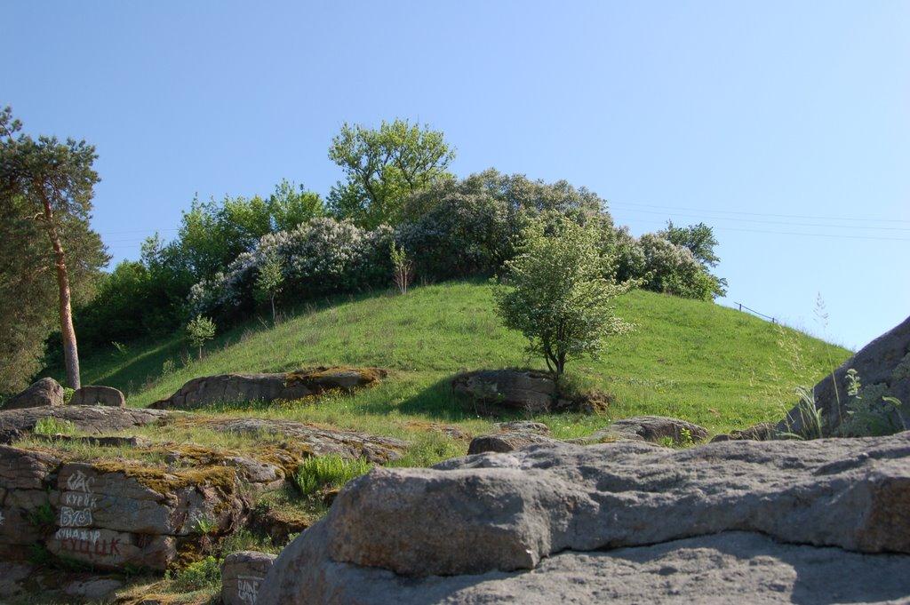 Богуслав з panoramio.com - Богуслав