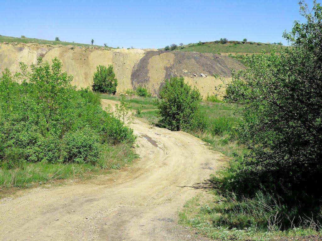 Селезнівка з panoramio.com - Селезнівка