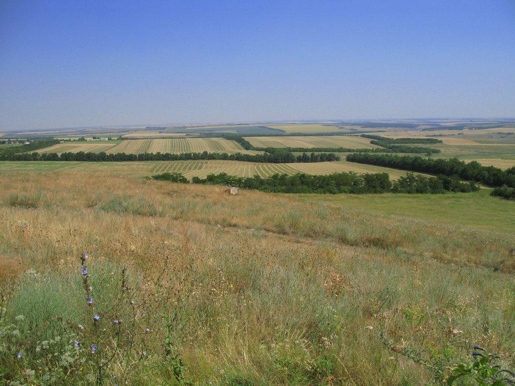 Тополине з panoramio.com - Тополиное