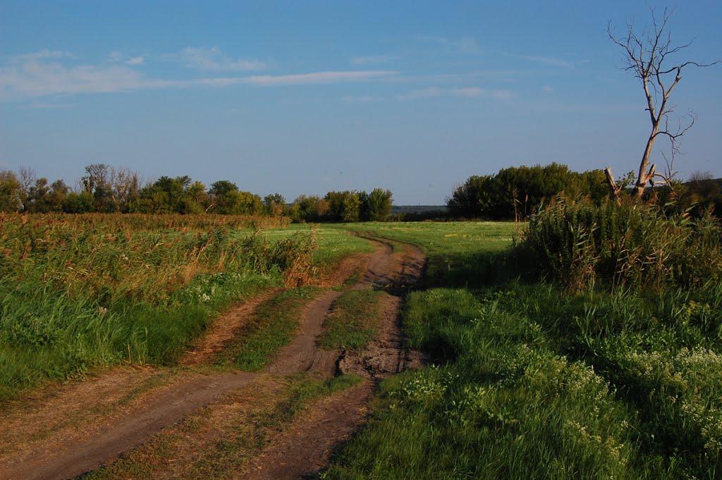 Суха Гомільша з panoramio.com - Sukha Gomilsha