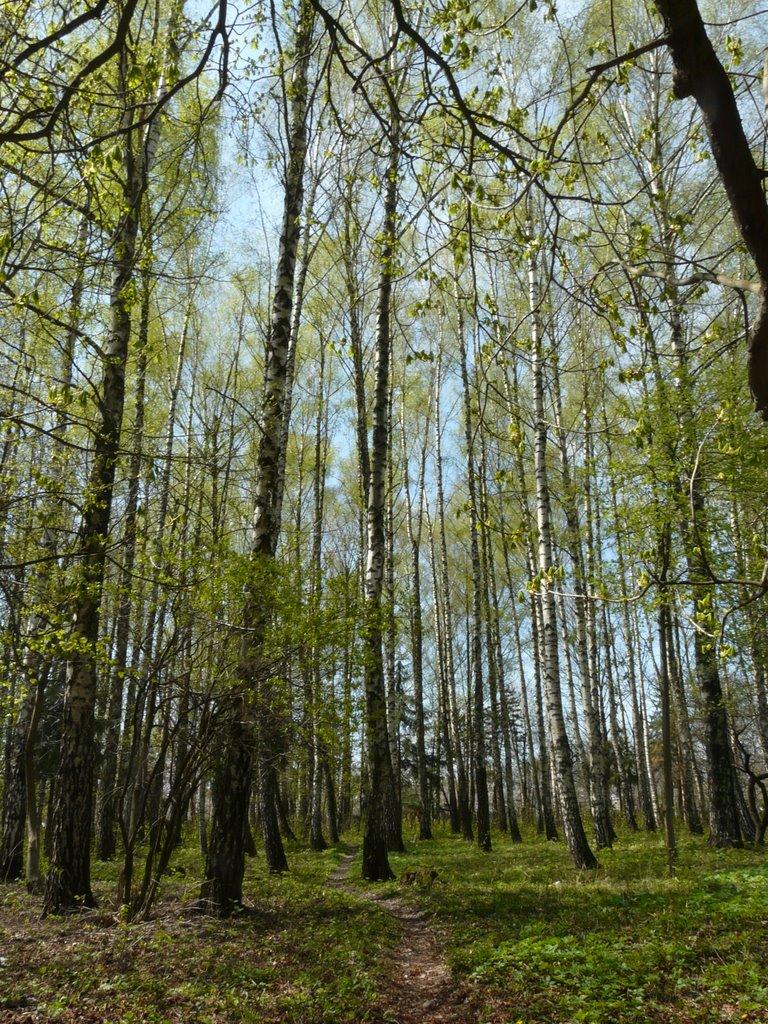 Каскада з panoramio.com - Каскада