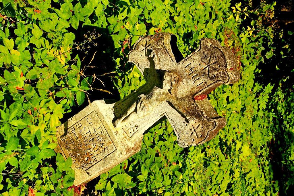 Божа Воля з panoramio.com - Божья Воля