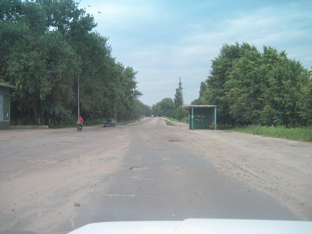 Олександрія з panoramio.com (ч.3) - Олександрія