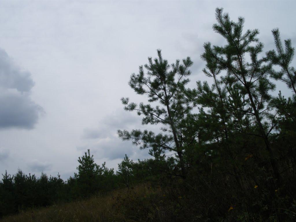 Яцьківка з panoramio.com - Яцьківка