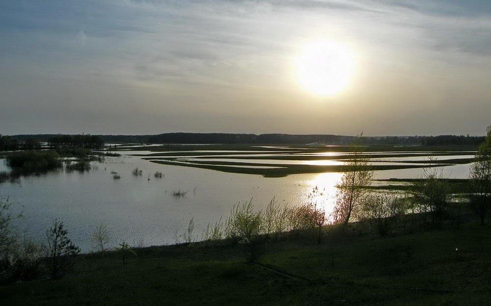 Шестовиця з panoramio.com - Shestovytsya