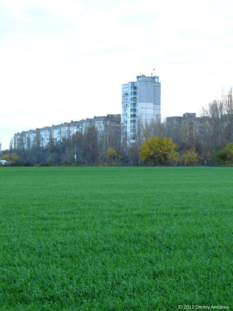 Кам'яне Поле з panoramio.com - Каменное Поле