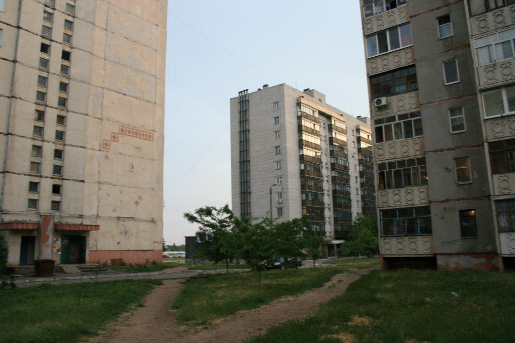 Новобогданівка з panoramio.com - Новобогданівка