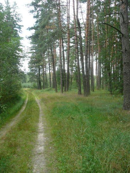 Кислі з panoramio.com - Кисли