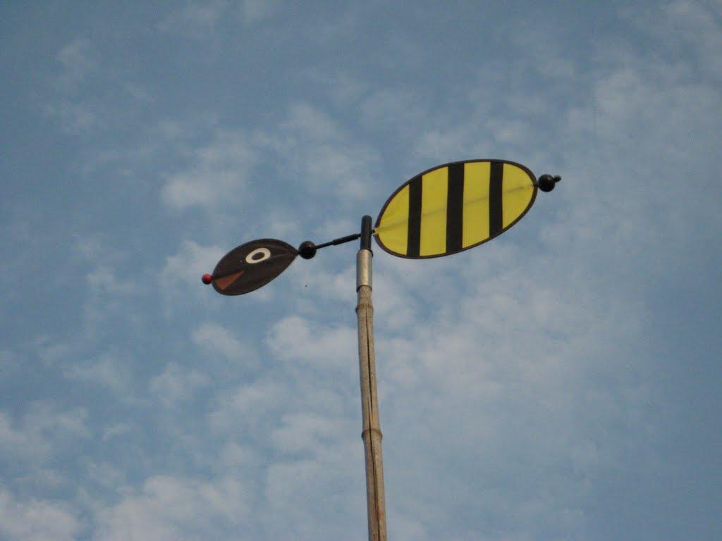 Войкове з panoramio.com - Войкове