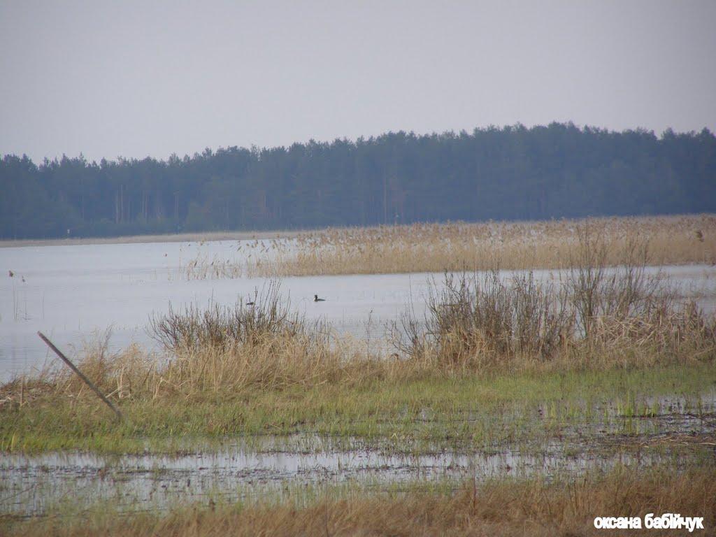 Любохини з panoramio.com - Любохини