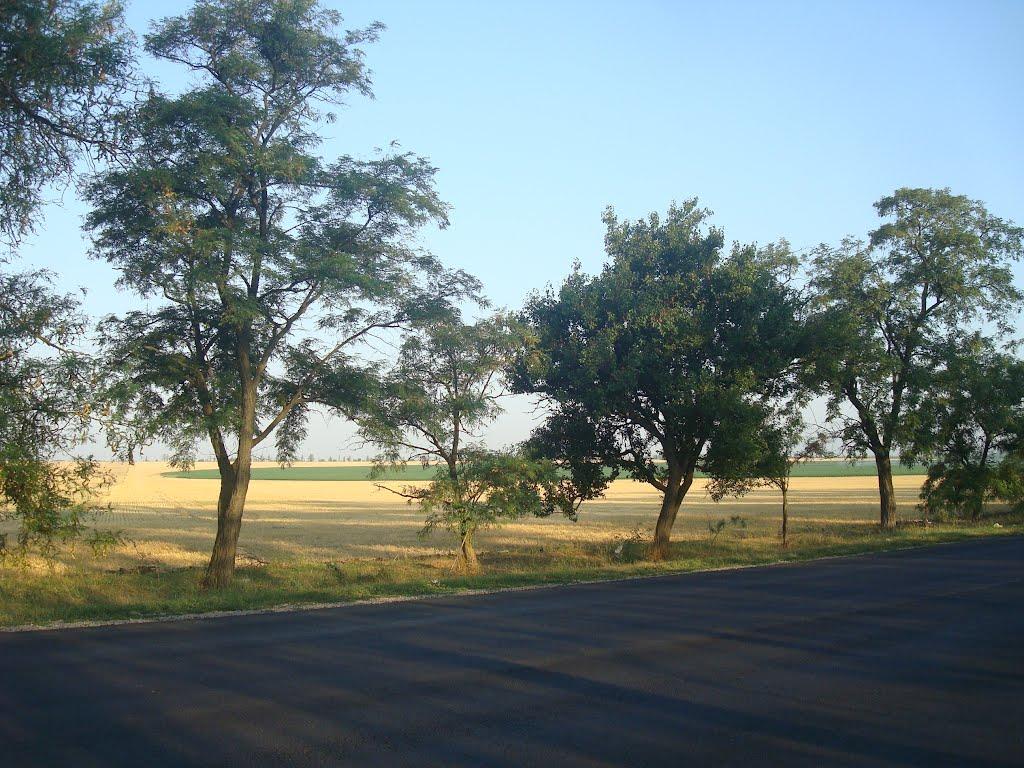 Журавлівка з panoramio.com - Журавлівка