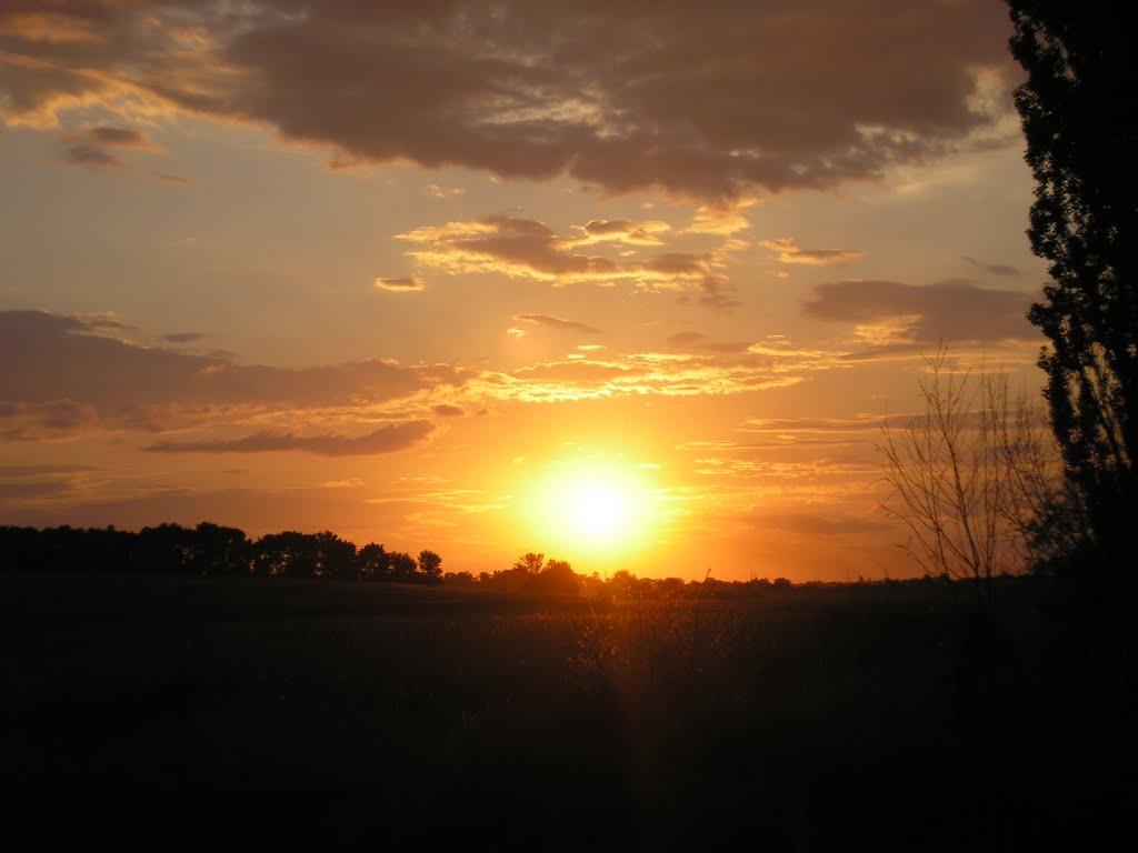 Пустовійтове з panoramio.com - Пустовійтове