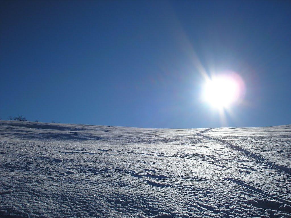Усть-Чорна з panoramio.com - Усть-Чорна