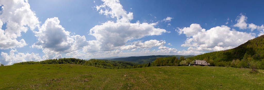 Косівська Поляна з panoramio.com - Kosivska Polyana