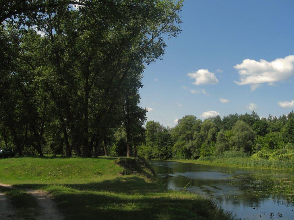 Дучинці з panoramio.com - Дучинці