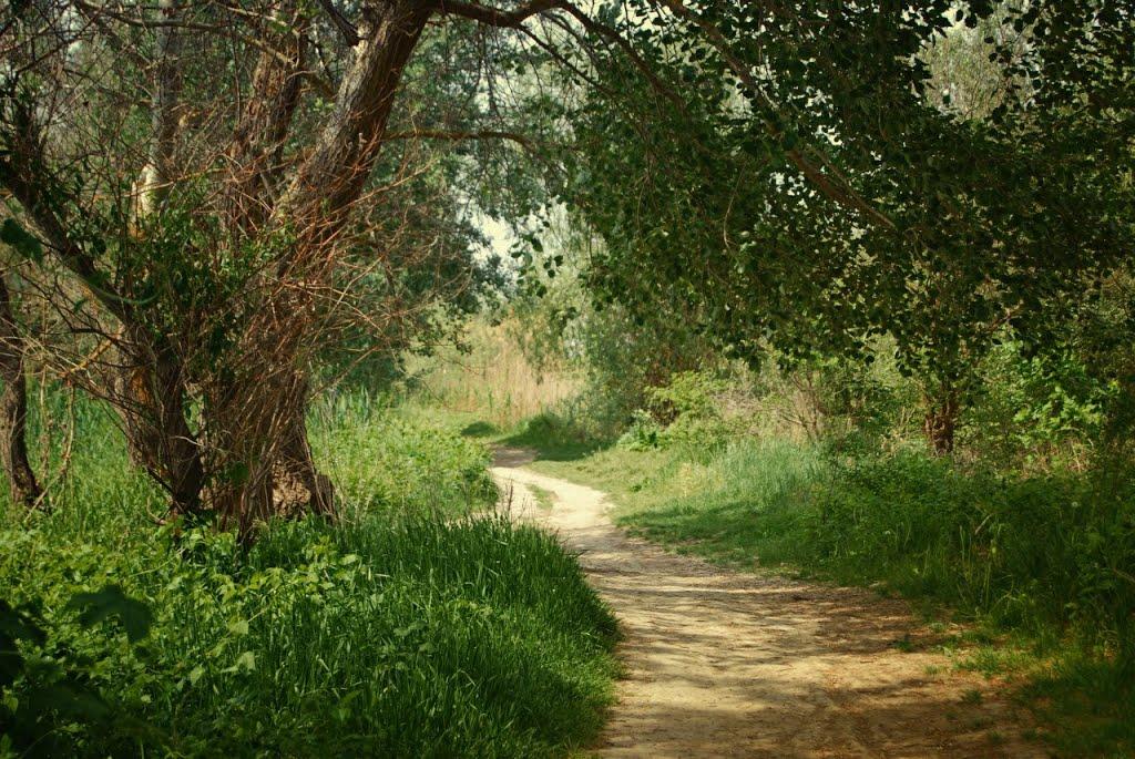 Біляївка з panoramio.com - Біляївка