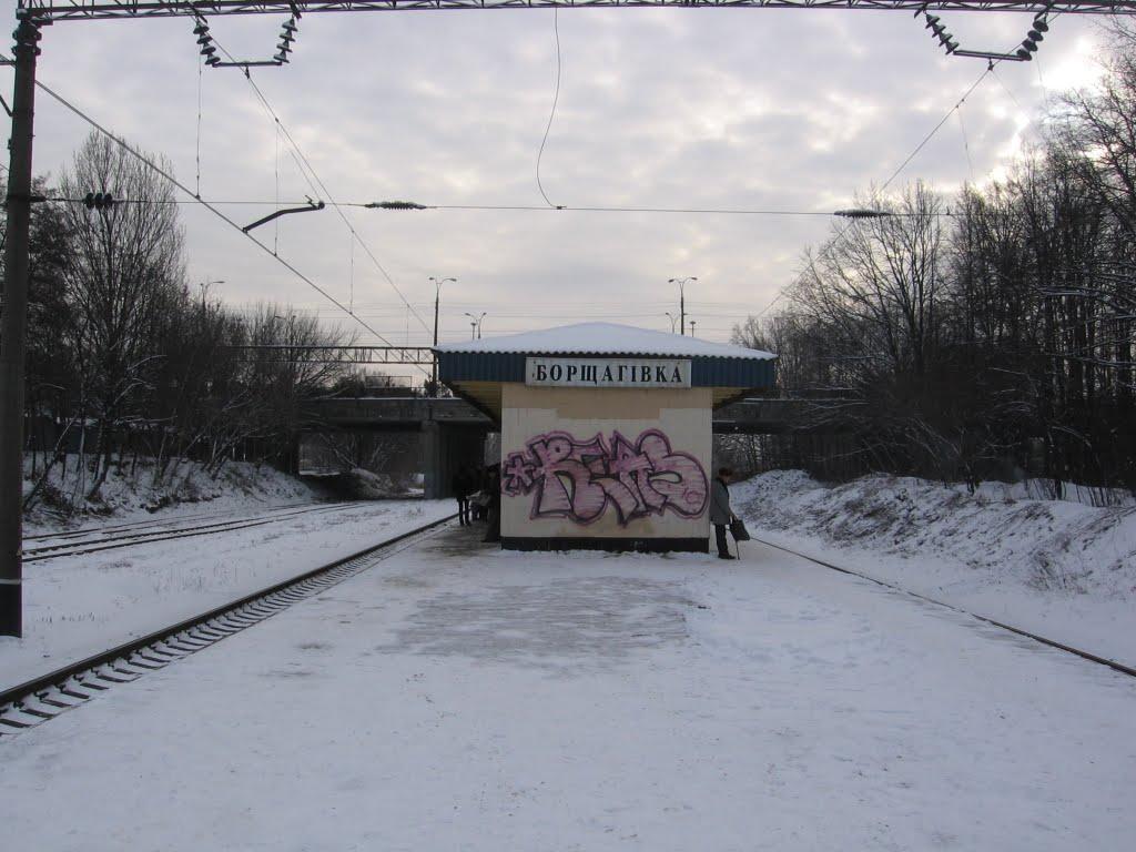 Софіївська Борщагівка з panoramio.com (ч.2) - Софиевская Борщаговка
