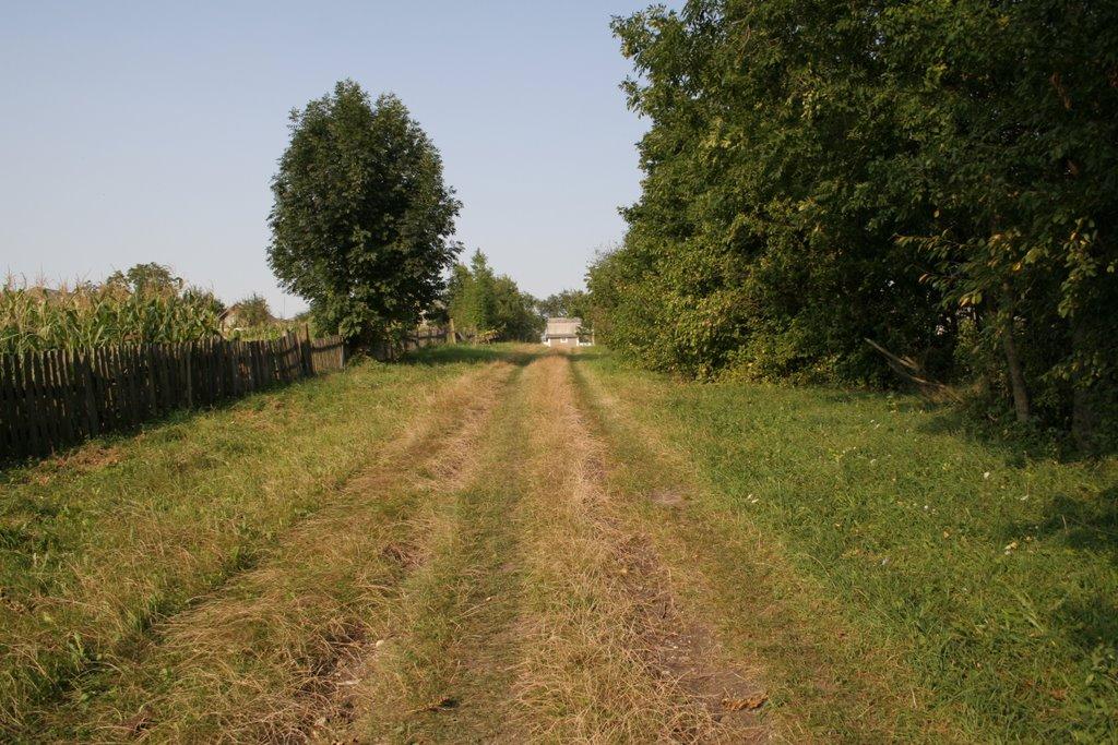 Савинці з panoramio.com - Савинці