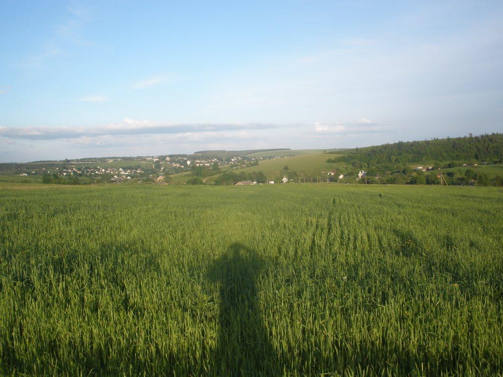 Голгоча з panoramio.com - Голгоча